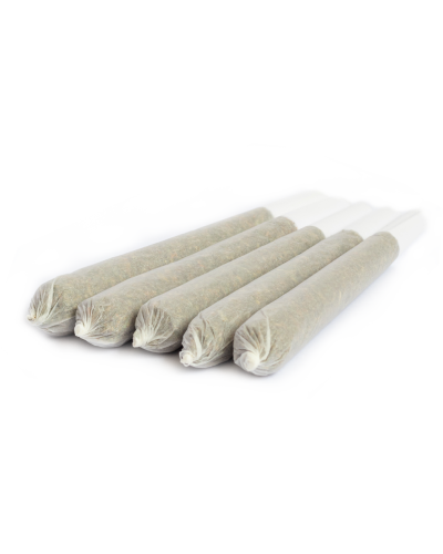 Buy 5 pre-rolled Blueberry CBD Greenhouse joints
