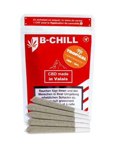 Buy 5 pre-rolled Tropical CBD Indoor Greenhouse joints