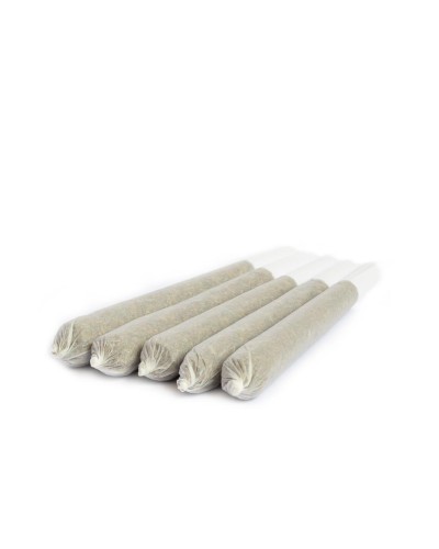 5 Pre-Rolled CBD Joints Lemon Haze