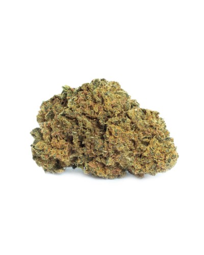 Buy Choco Loco CBD Buds Online | Best Outdoor CBD Flowers Valais