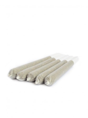 Fertige joints online bestellen mit Green Skunk Greenhouse Blüten