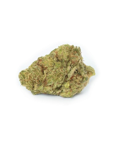 Tropical Diamond - Buy Best Premium Indoor CBD Strain in Switzerland