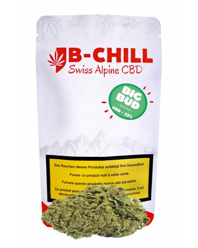La nouvelle BIG BUD est là. Une édition ultra limitée de fleurs indoor XXL !