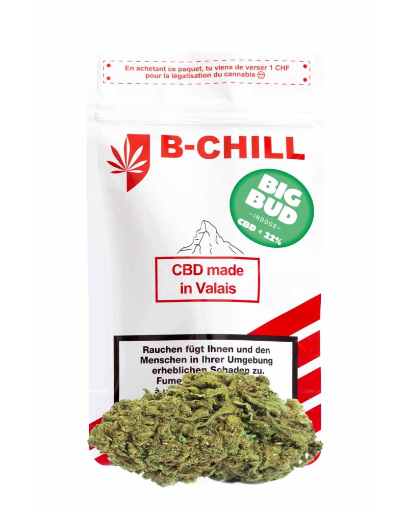 La nouvelle BIG BUD est là. Une édition ultra limitée de fleurs indoor XXL !