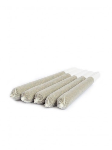 5 pre-rolled CBD joints Green Skunk