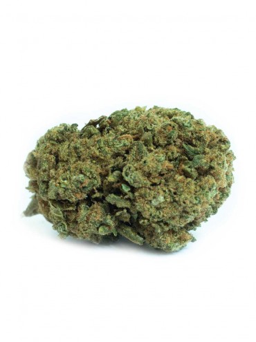 Acheter Harlequin Indoor CBD En Ligne Suisse France Belgique | Meilleures Fleurs CBD Indoor