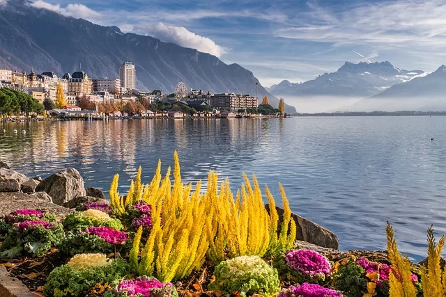 CBD shop in Montreux