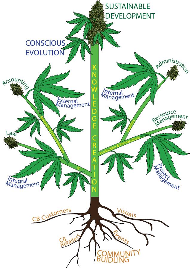A CBD plant representing the different domains of the enterprise