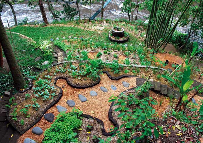 Ein schöner Permakultur-Garten mit natürlichen Pflanzen und einem Weg