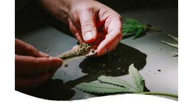 Cannabis Legalization in 2023: A Comprehensive Overview