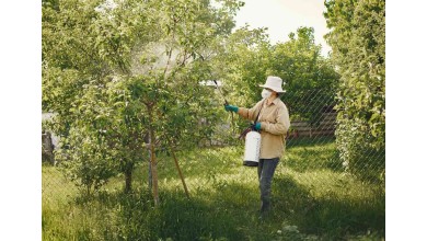 Dix pesticides naturels que tu peux fabriquer toi-même