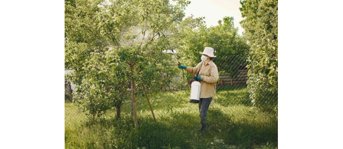 Dix pesticides naturels que tu peux fabriquer toi-même