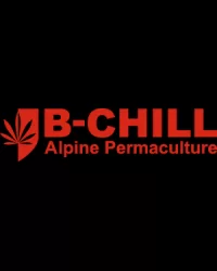 B-Chill